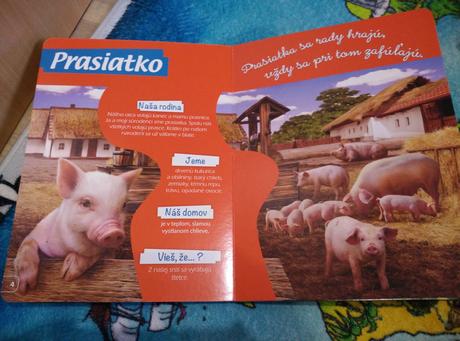 Mláďatká okolo nášho domu, 