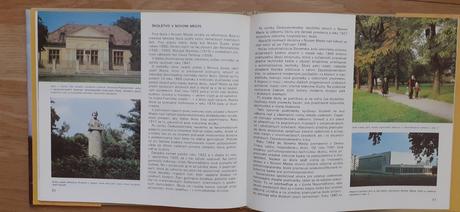 Nové mesto nad váhom, 