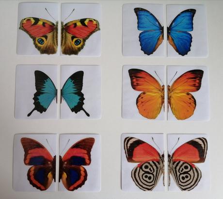 16 ks montessori kartičiek - motýle,
