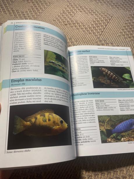 Vaše akvárium dick mills,