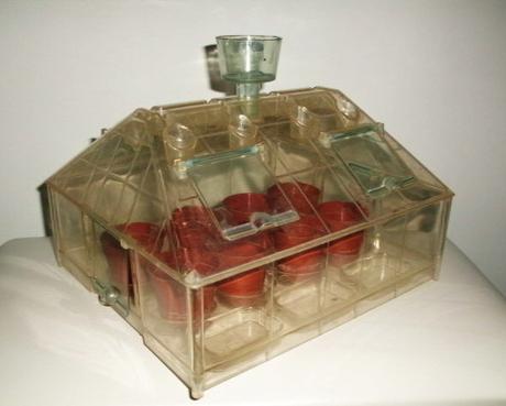 Prvý skleník pre malých pestovateľov,