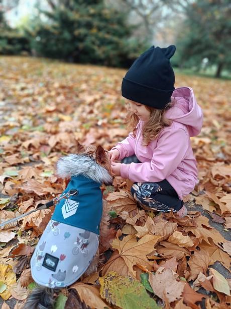 Zateplená softshellova bunda, 86 - 128