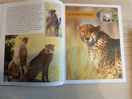 Encyklopedia zvierat, 