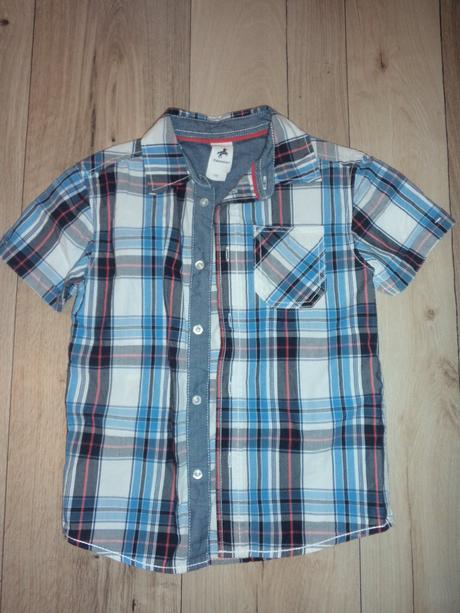 Košela, palomino,116