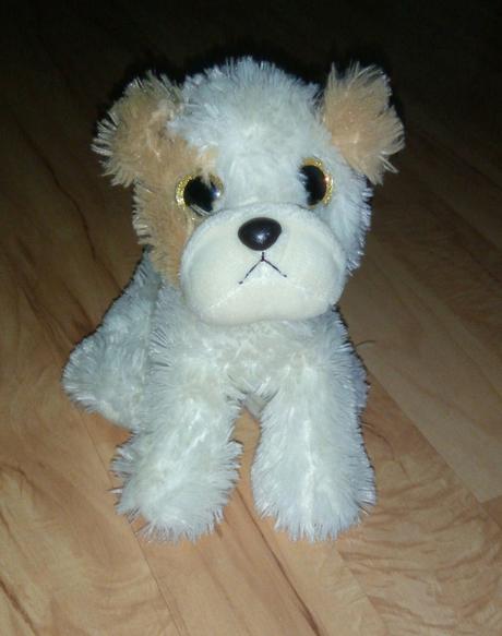 Šteniatko s trblietkami v očiach, 