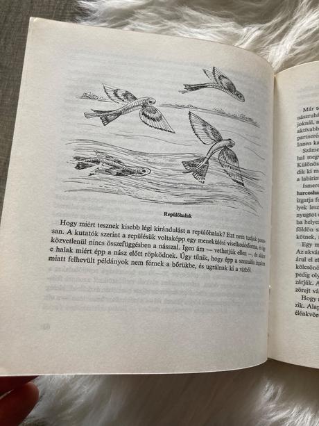 Az állatok násza svadobné tance zvierat (1980),