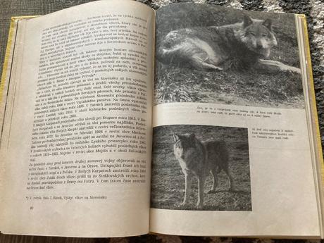 Živé poklady prvé vydanie 1963,