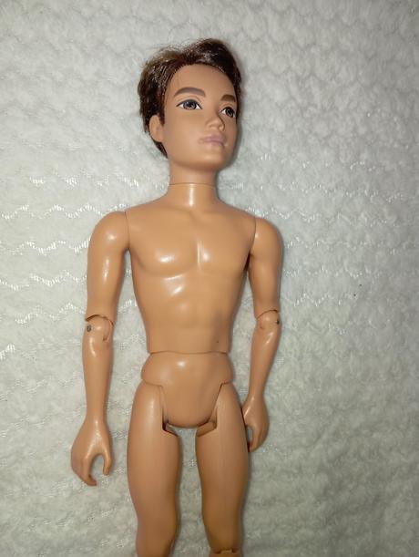 Barbie my scene chlapci ken, 