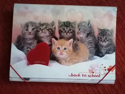 Box veľký na zošity, 