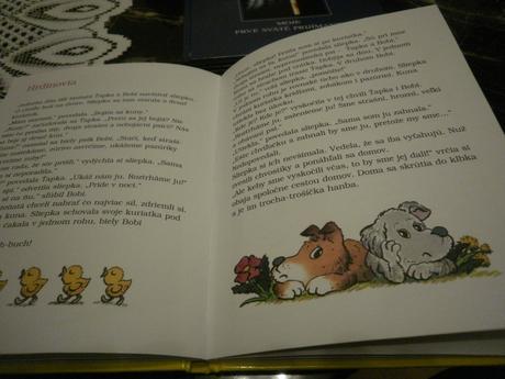 Kniha moja prvá čítanka,