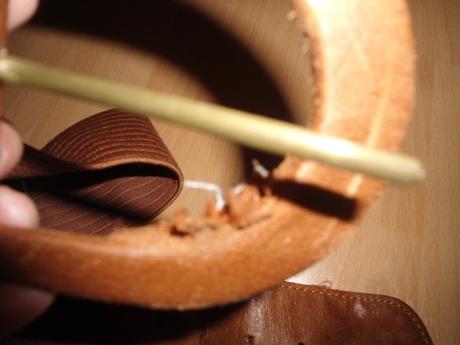 Hnedy elasticky opasok, 