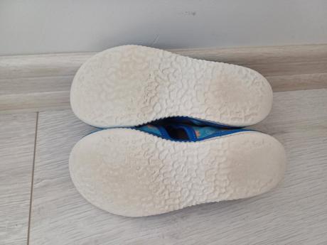 Papuče rak dinosaurus 27, rak,27