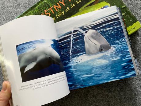 Dve náučné knihy, 