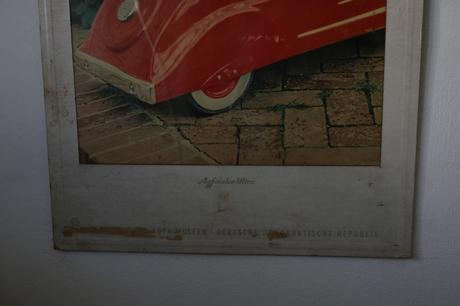 Obrazy/postery/obrázky zvierat,