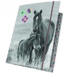 Obal s gumkou kone a4, 