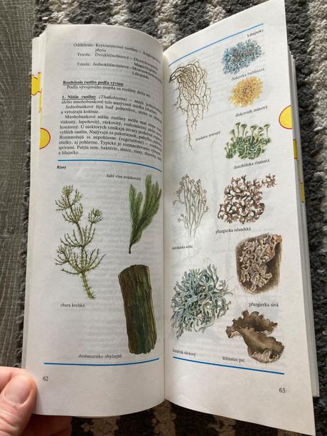 Rozum do vrecka 1 (1992),