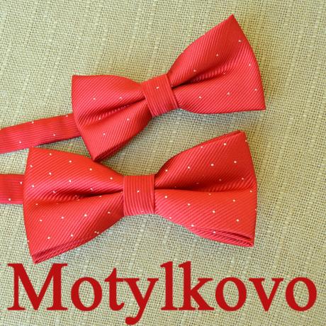 Motýlik pre otca a syna červený modrý, motýliky, 