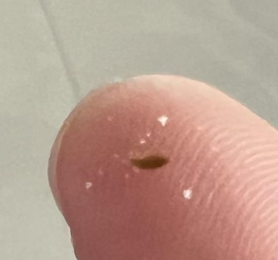 Čo môže byť v umelom mlieku Beba Comfort 1?