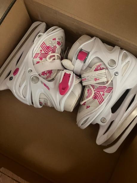 Ľadové korčule roces, 31