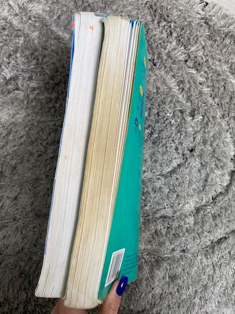 Učebnice sprechen sie deutsch,