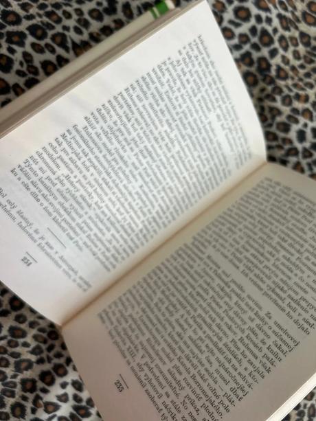 Rubens - donald braider,