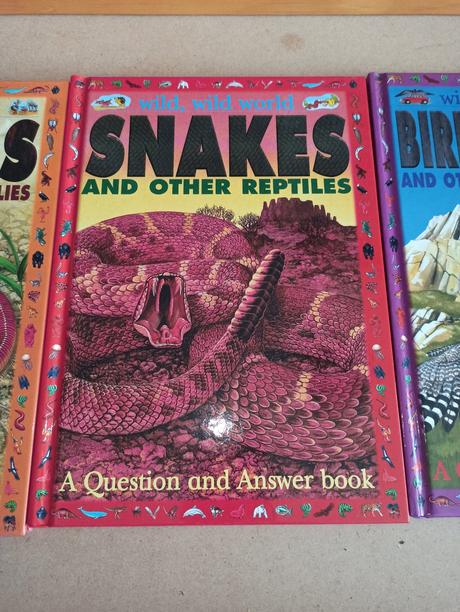 Wild wild world - spiders / snakes,