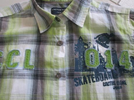 Kosela, cactus clone,134