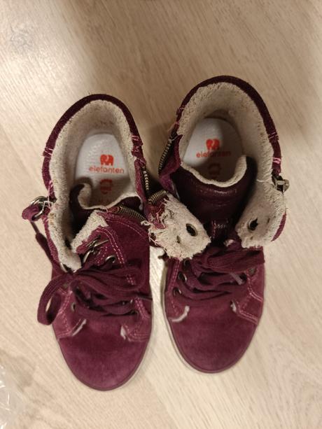 Elefanten v. 29, elefanten,29