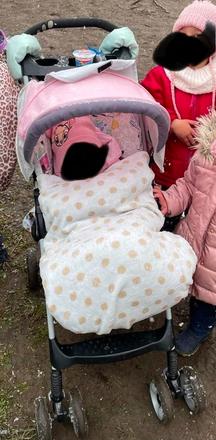 Športový kočik, 4baby,4baby shape