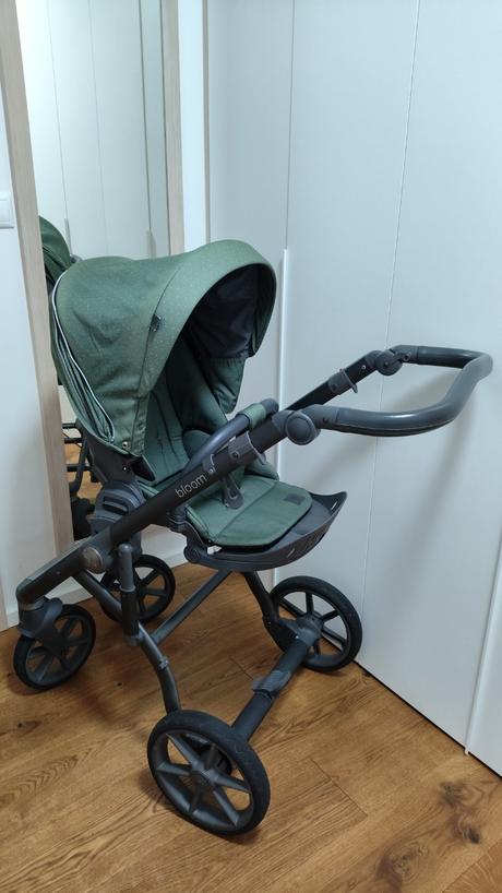 Kočík roan bloom green dots, roan,roan bloom