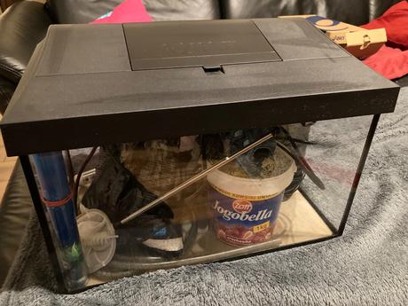 Akvárium s výbavou, 