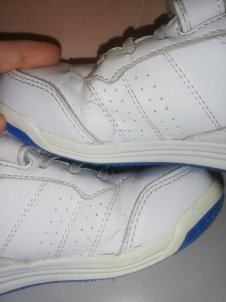 Botasky lotto c. 31, lotto,31