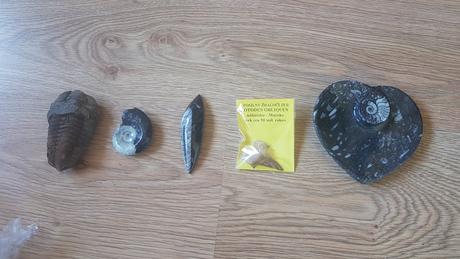 Skameneliny - mix pre milovnikov skamenelin,