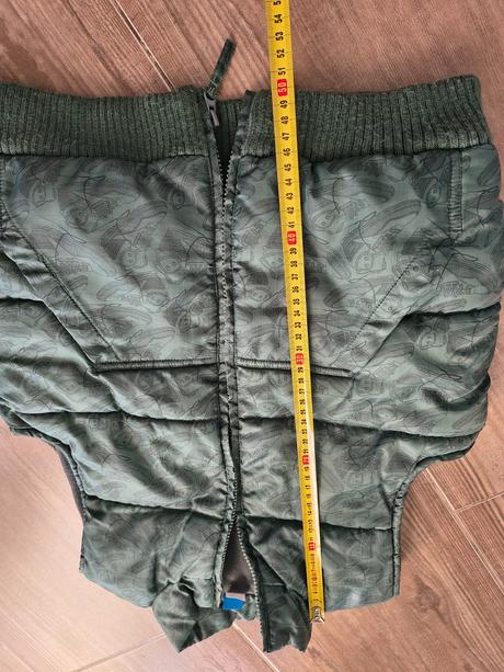 Vesta 134, adams,134