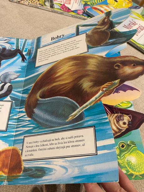 Leporelo nočné zvieratá v malíčku judy nayer,