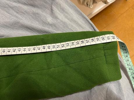 Zelený kabát, house,s