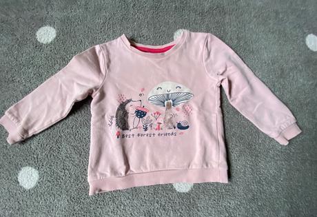 Mikina ježko, pepco,86