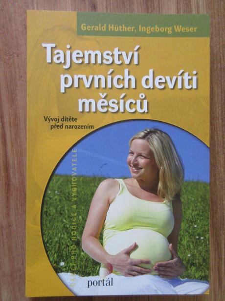 Tajemstvi prvnich deviti mesicu, 