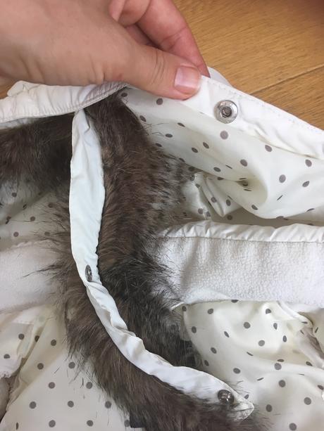 Vesta lindex, lindex,110