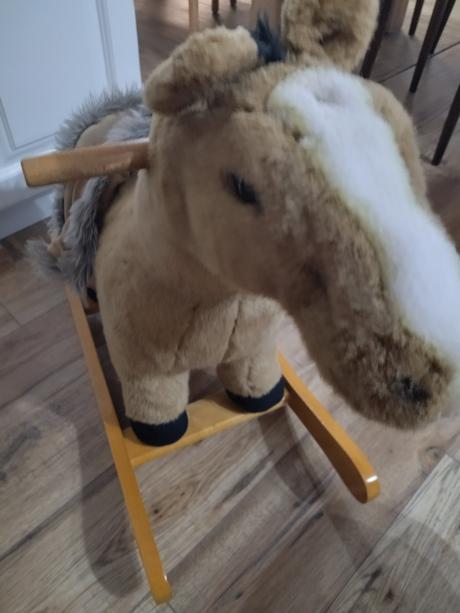 Húpací koník vydáva zvuky, 