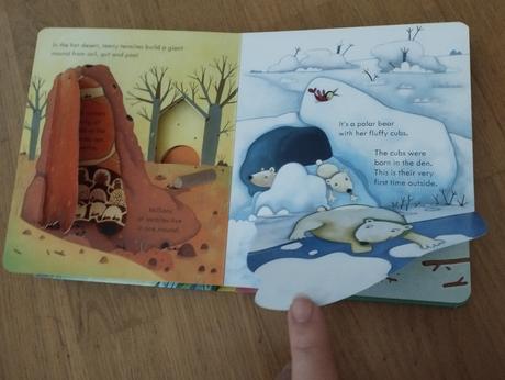 Knihy usborne okienkové ang.,