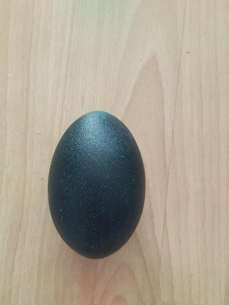 Prazdne pštrosie vajce, 