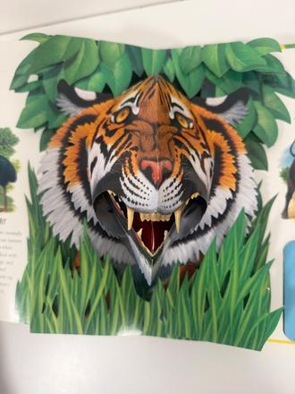 Pop up 3d kniha exreme animals,