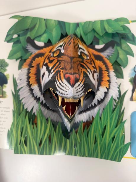Pop up 3d kniha exreme animals,