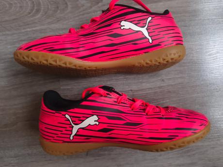 Halovky, puma,31
