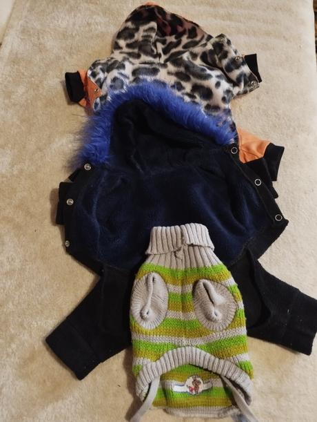 Mini yorshire oblečenie,