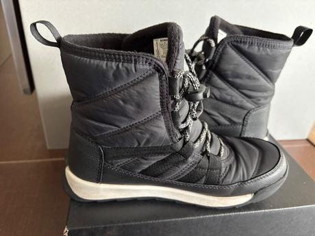 Snehule sorel, sorel,35