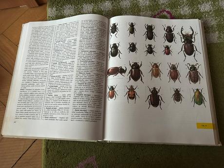 Veľká kniha živočíchov,