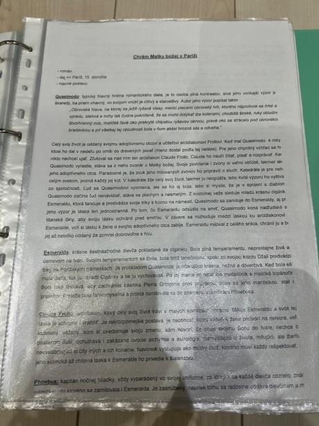 Maturita zo sjl- literatúra, 