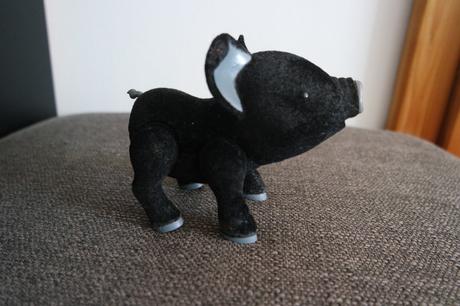 Teacup piggies-roztomilé prasiatko, 